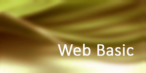 Premium Website von Magdeburg.online | Web Basic ab 50.- €/Monat inkl. MwSt.