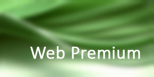 Premium Website von Magdeburg.online | Web Premium ab 90.- €/Monat inkl. MwSt.