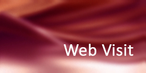 Premium Website von Magdeburg.online | Web Visit ab 25.- €/Monat inkl. MwSt.